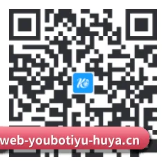 系统版 Android 二维码